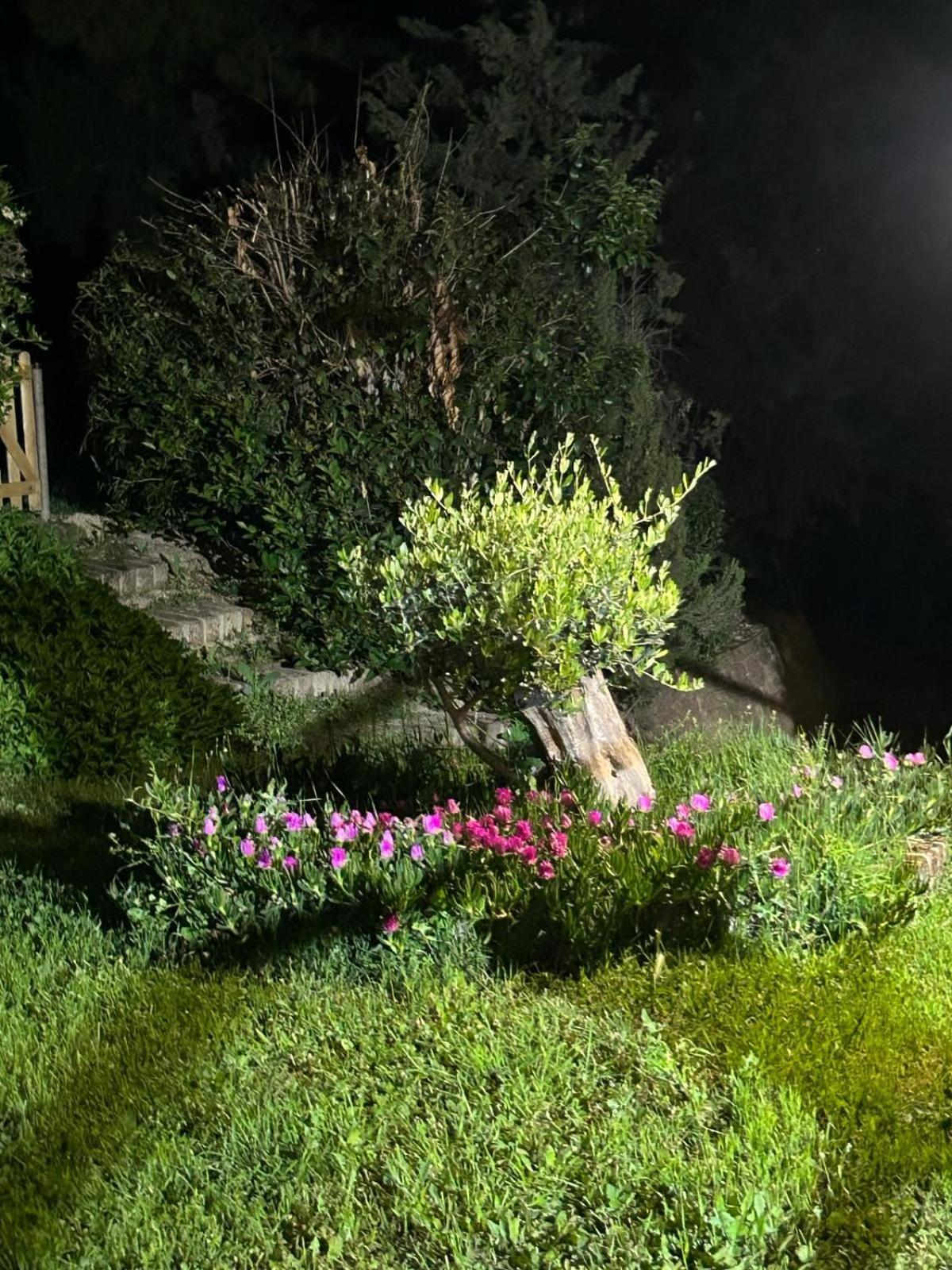 Villa Casalustro Città Sant'Angelo Esterno foto